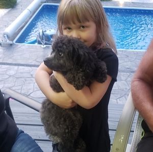 Meet your Posher, Joe